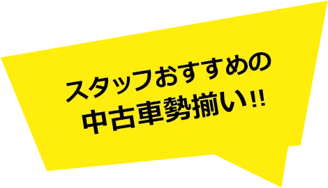 スタッフおすすめの中古車勢揃い!!